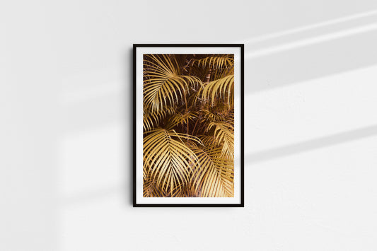 Golden Palms (Portrait) - Part 1