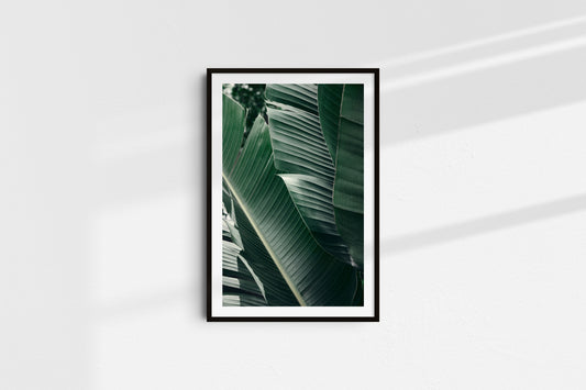 Velvet Greens - Part 1