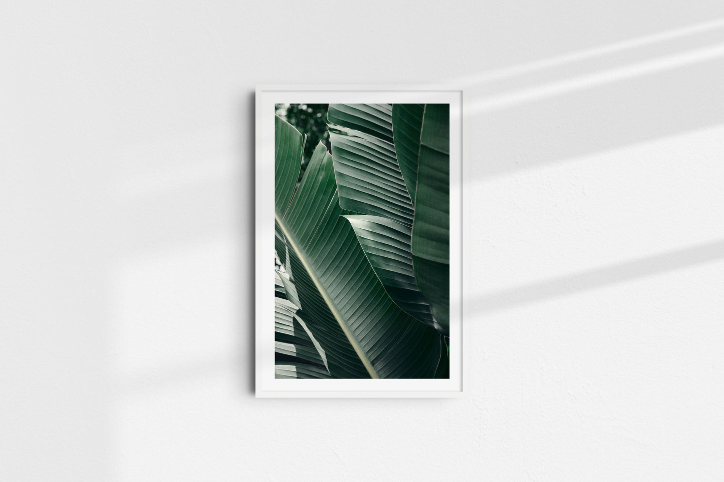 Velvet Greens - Part 1