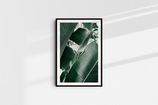 Velvet Greens - Part 2