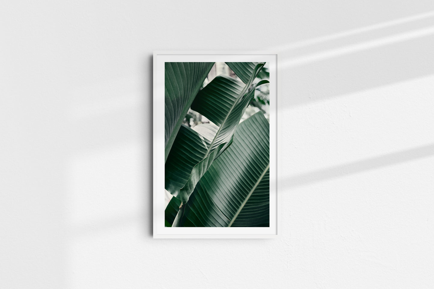 Velvet Greens - Part 2