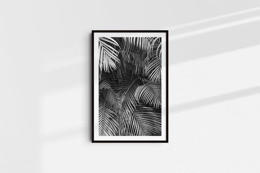 Monochromatic Palms (Portrait) - Part 1