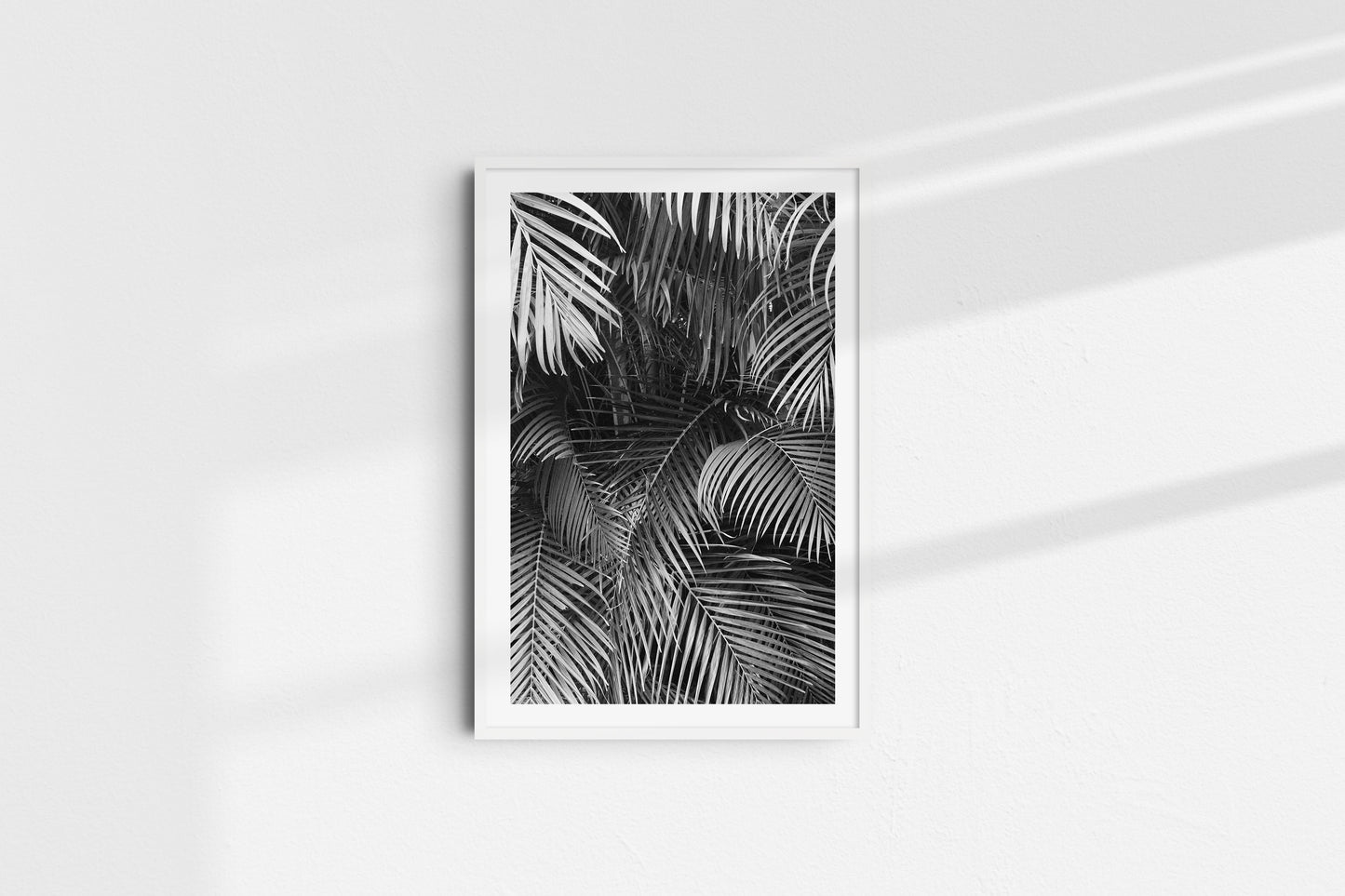 Monochromatic Palms (Portrait) - Part 1