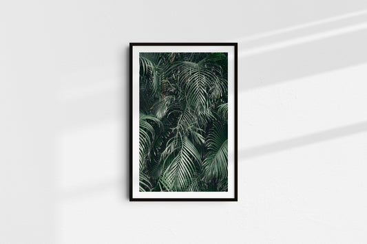 Evergreen Palms (Portrait) - Part 2
