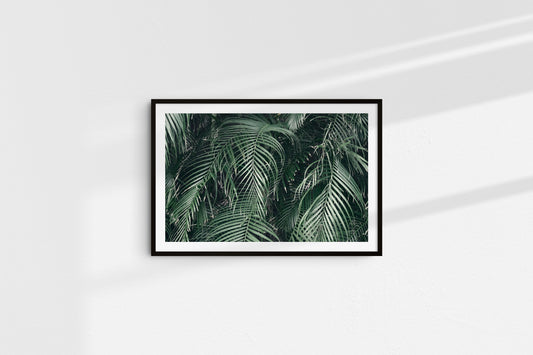 Evergreen Palms (Landscape)