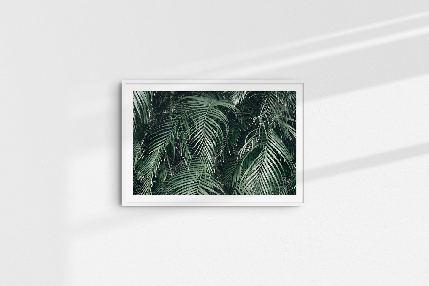 Evergreen Palms (Landscape)