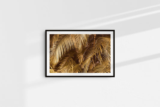 Golden Palms (Landscape)