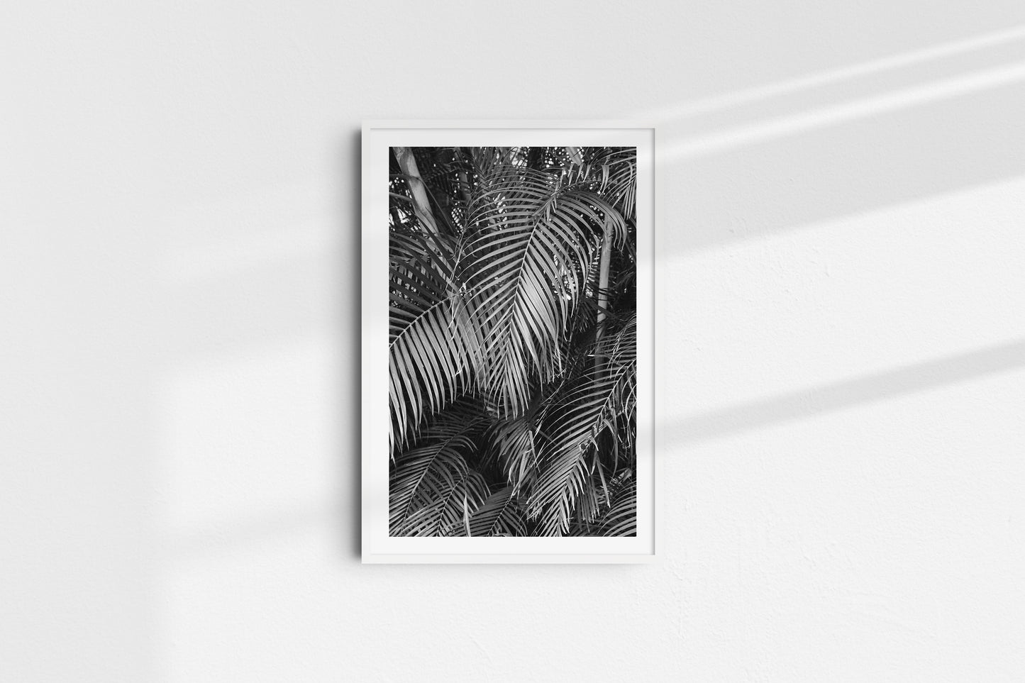 Monochromatic Palms (Portrait) - Part 2