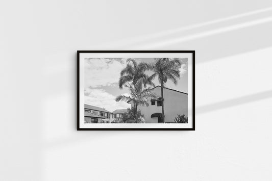 Palm Trees (Landscape)