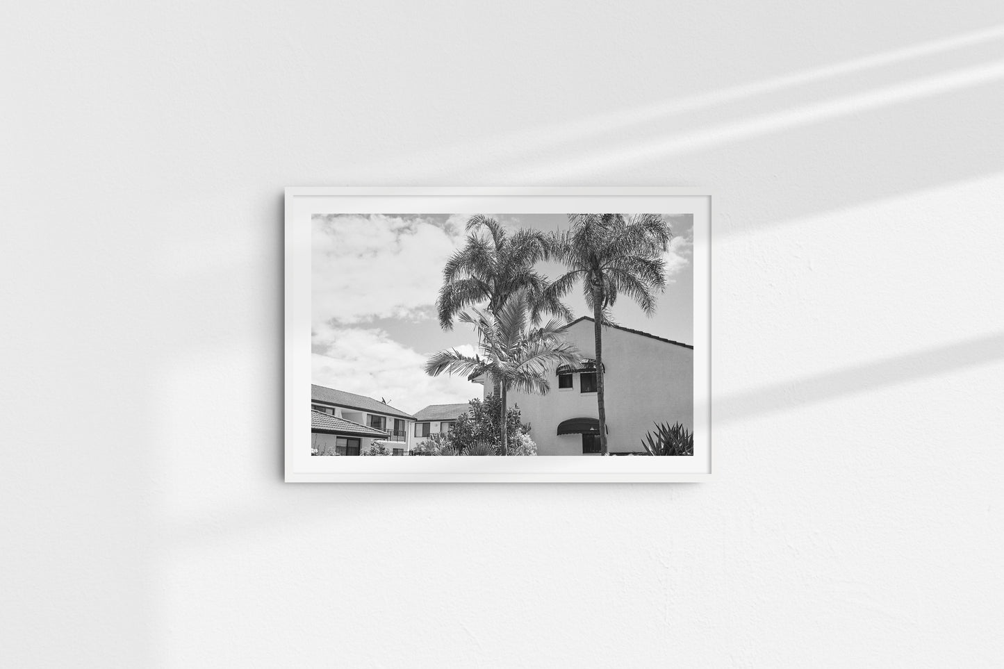 Palm Trees (Landscape)