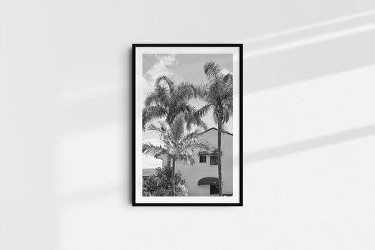 Palm Trees (Portrait)