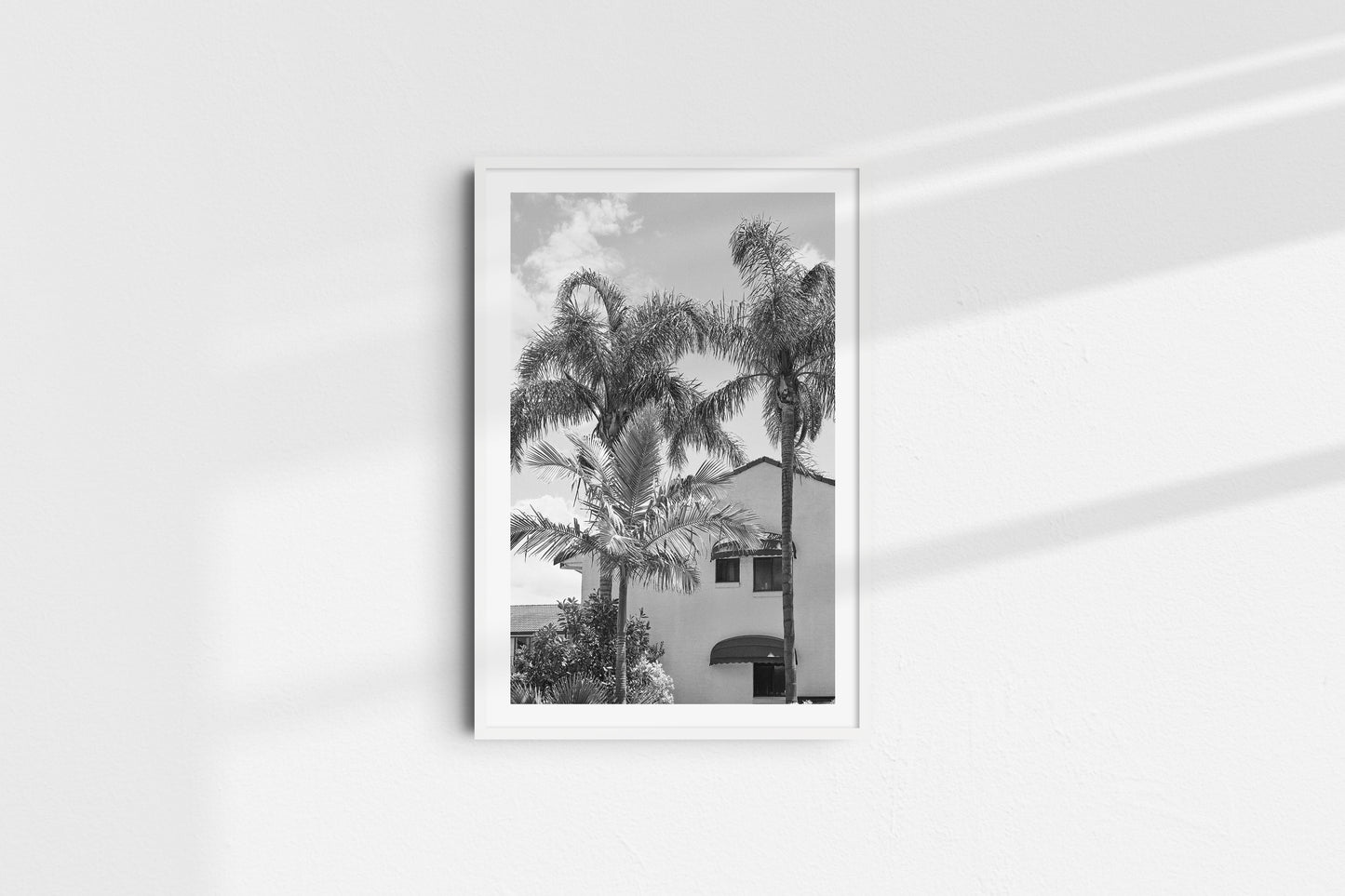 Palm Trees (Portrait)