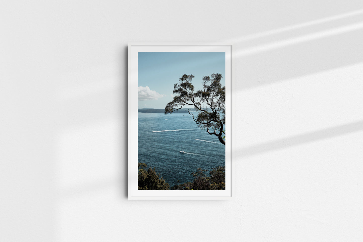 Straight Lines (Portrait)