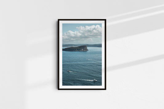 Lion Island Routs (Portrait)