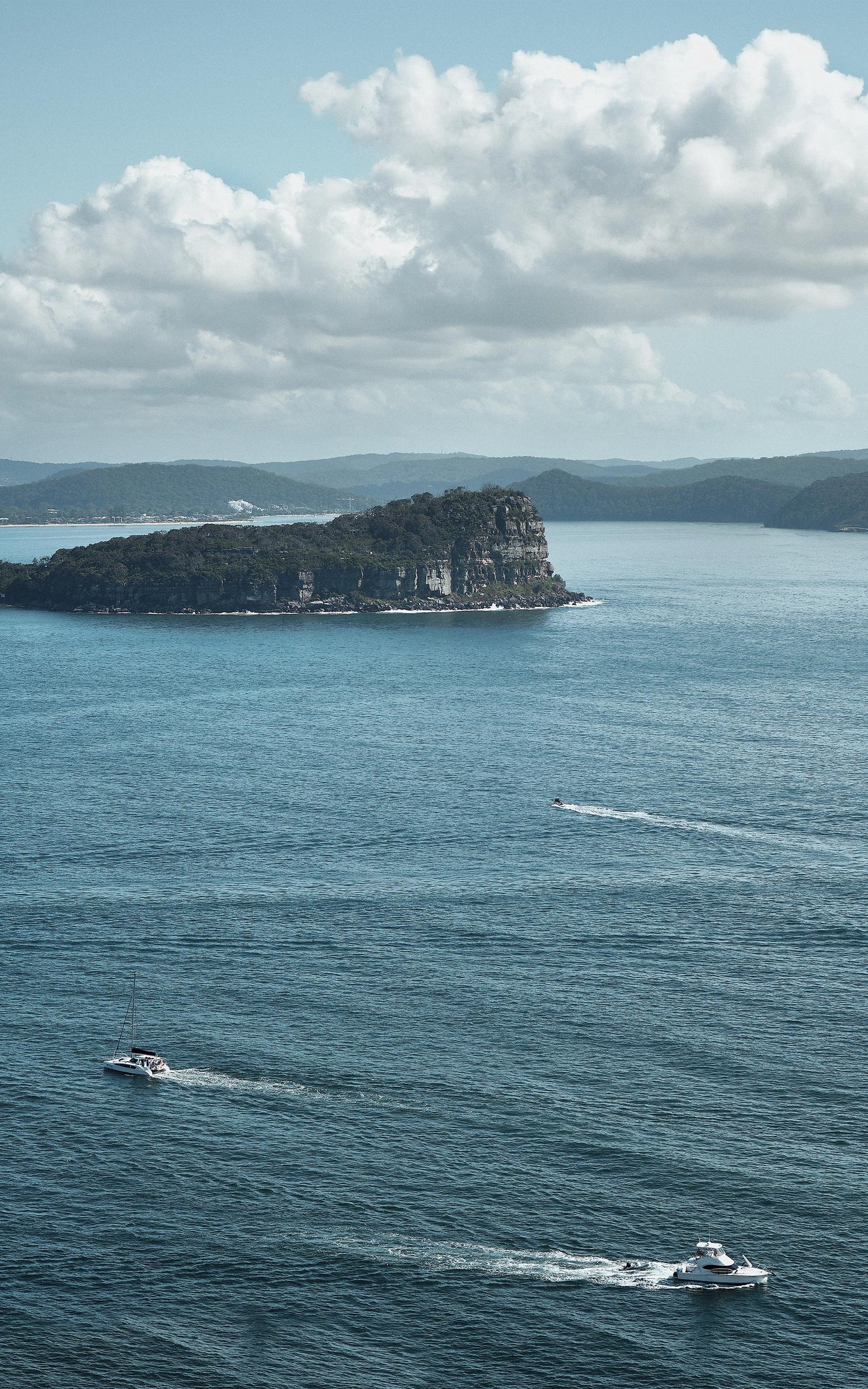 Lion Island Routs (Portrait)