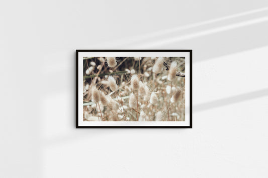 Soft Elements (Landscape)