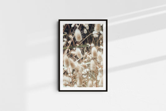 Soft Elements (Portrait)