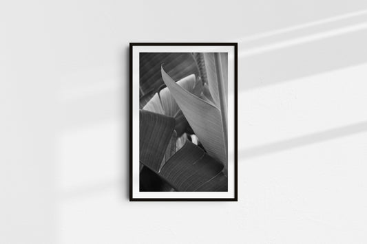 Velvet Blacks - Part 1