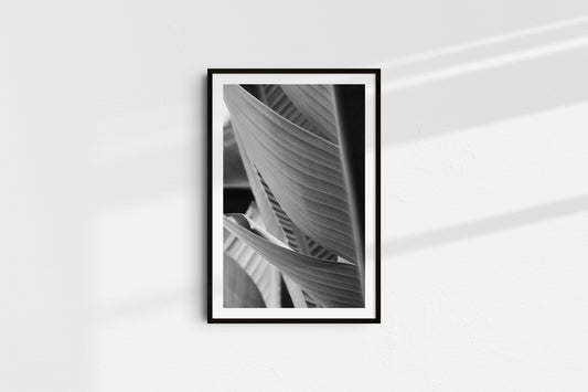 Velvet Blacks - Part 2