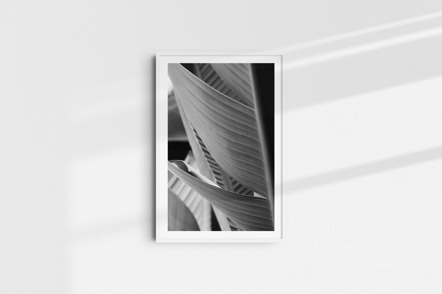 Velvet Blacks - Part 2