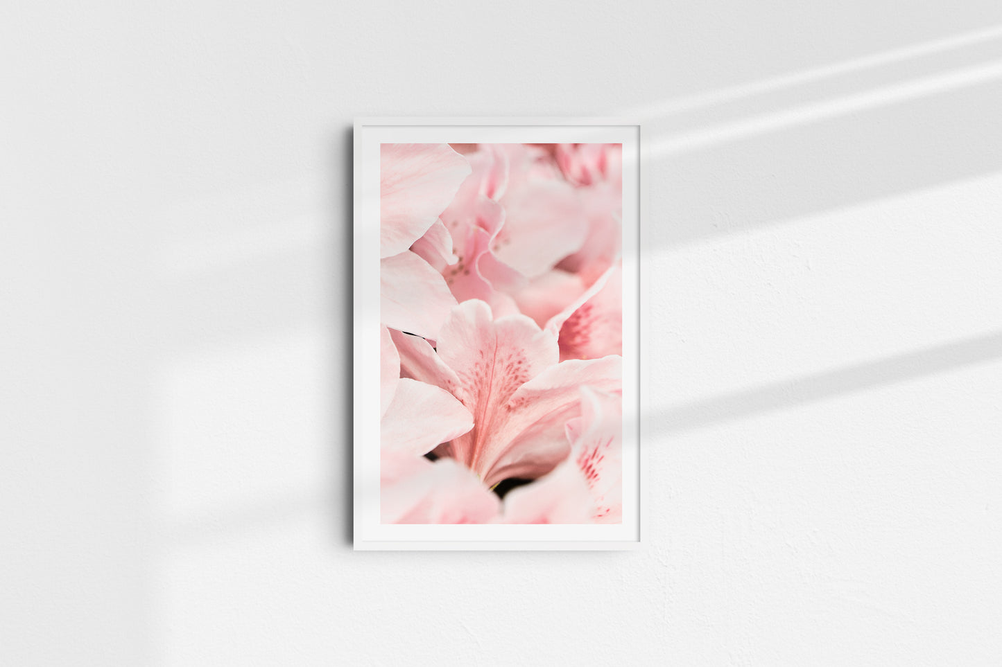 Soft Petals (Portrait)