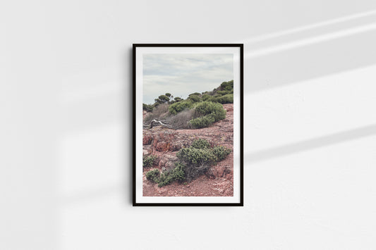 Rest on the Red Ground (Portrait)