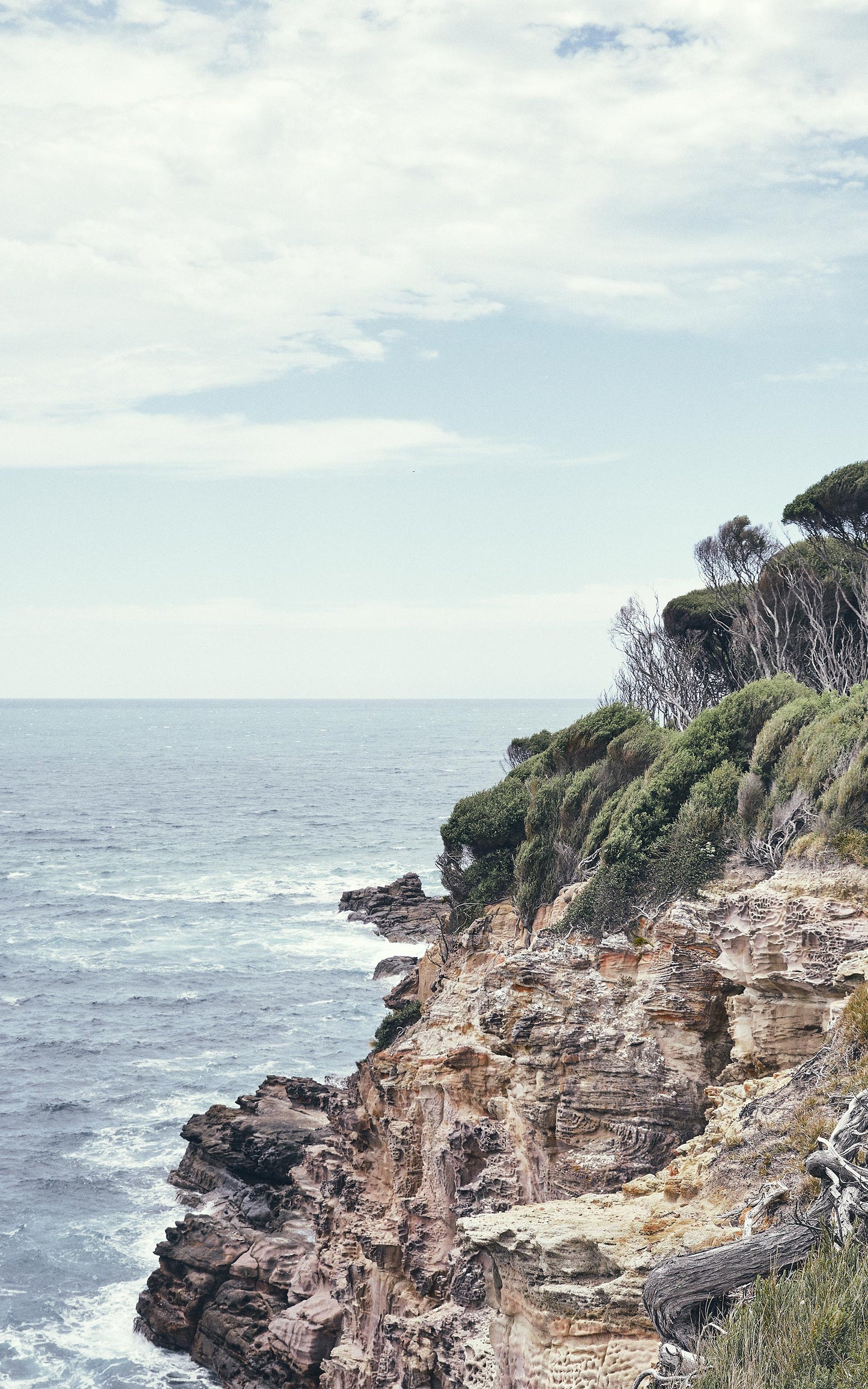 Ocean's Edge (Portrait)