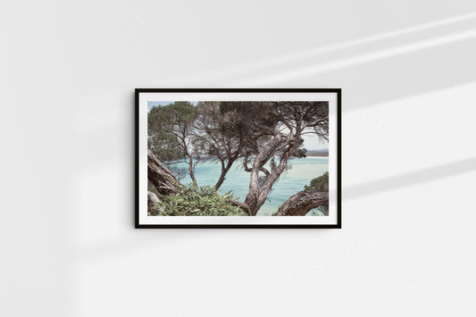 Gentle Waters of Merimbula