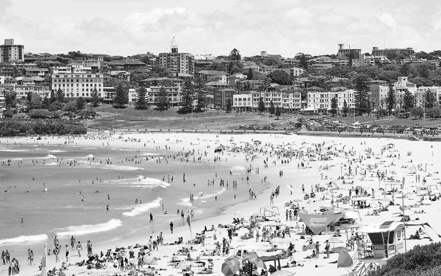 Classic Bondi