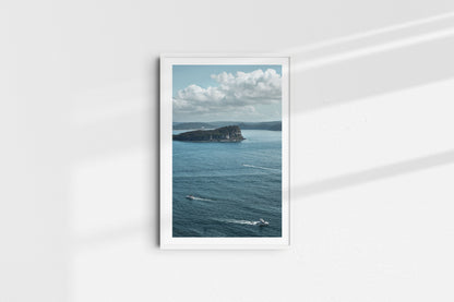 Lion Island Routs (Portrait)
