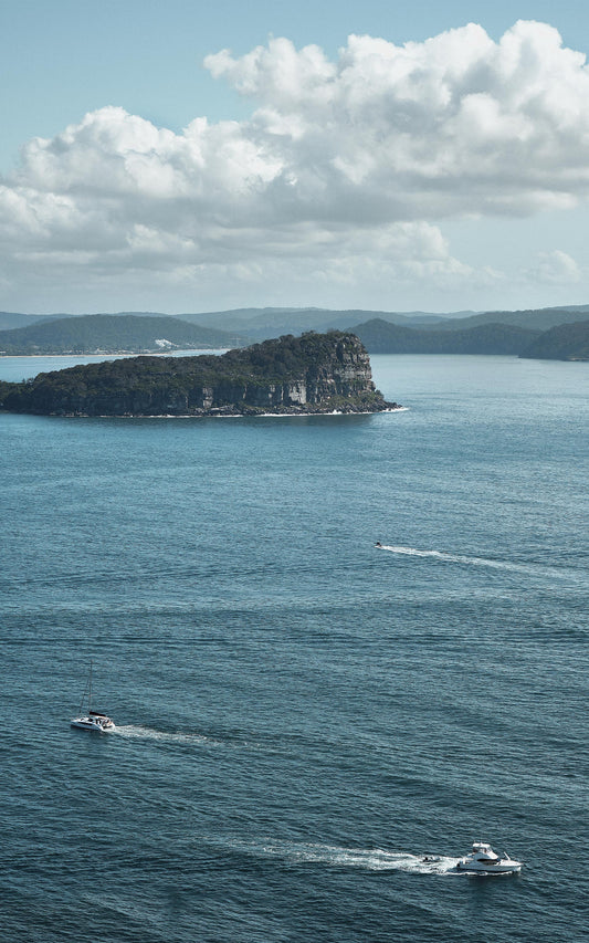 Lion Island Routs (Portrait)